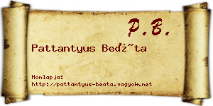 Pattantyus Beáta névjegykártya